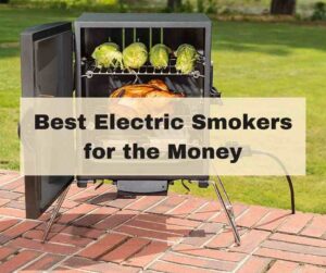 Best Electric Smokers for the money