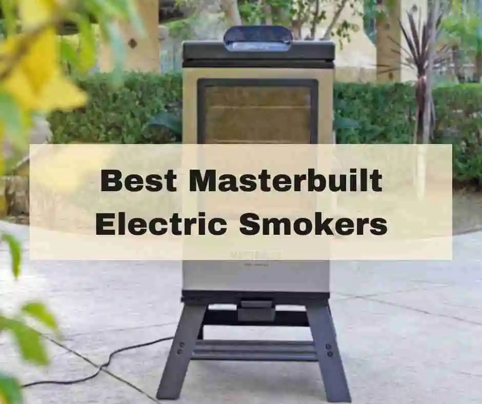 Best Masterbuilt Electric Smokers