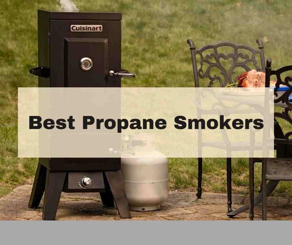 Best Propane Smokers